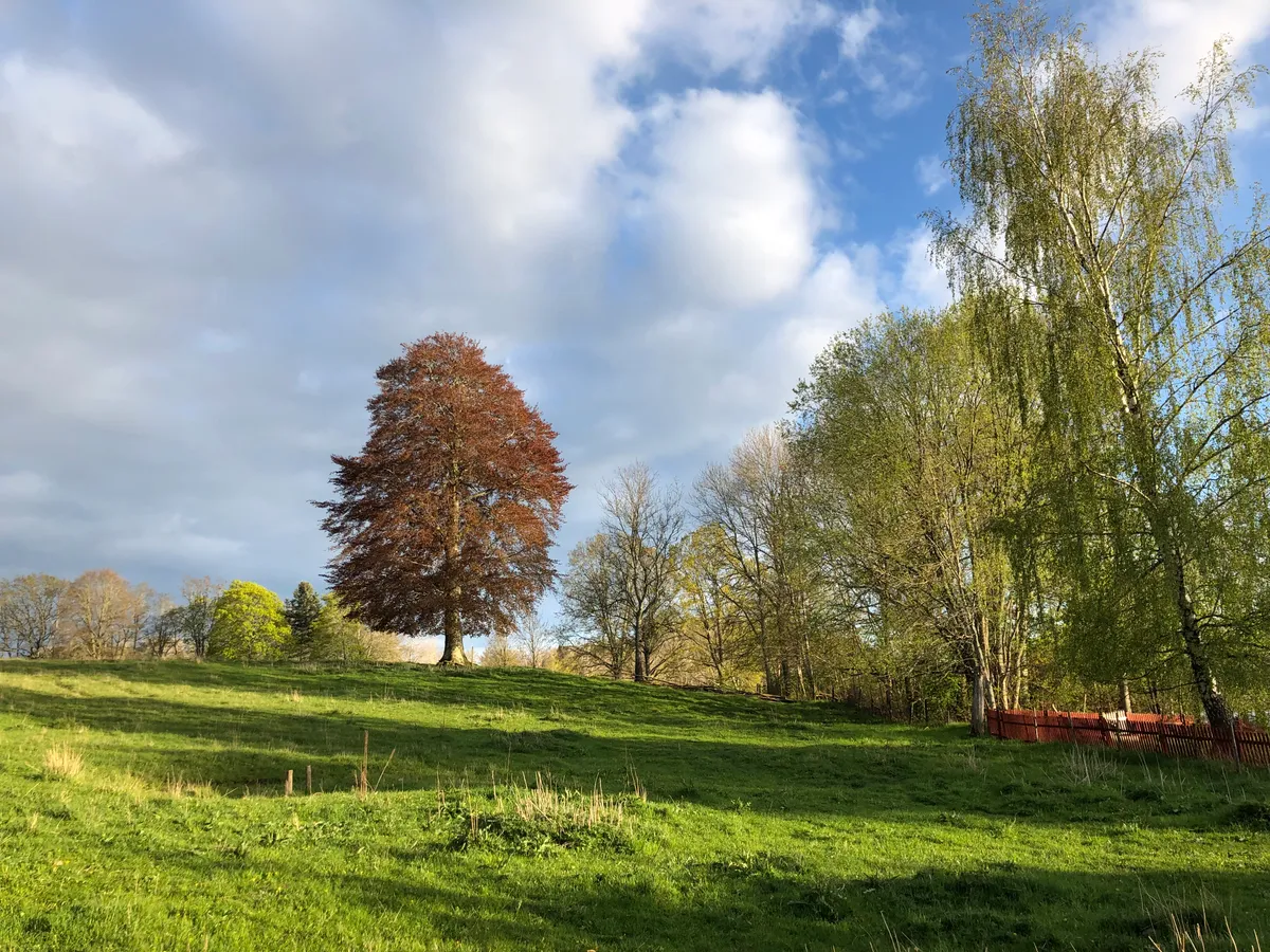 Hyresbostad på Stjärnhov i stjarnhov