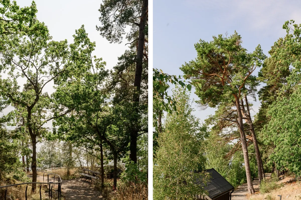Hyreslägenhet på Saltsjö-boo i saltsjo-boo
