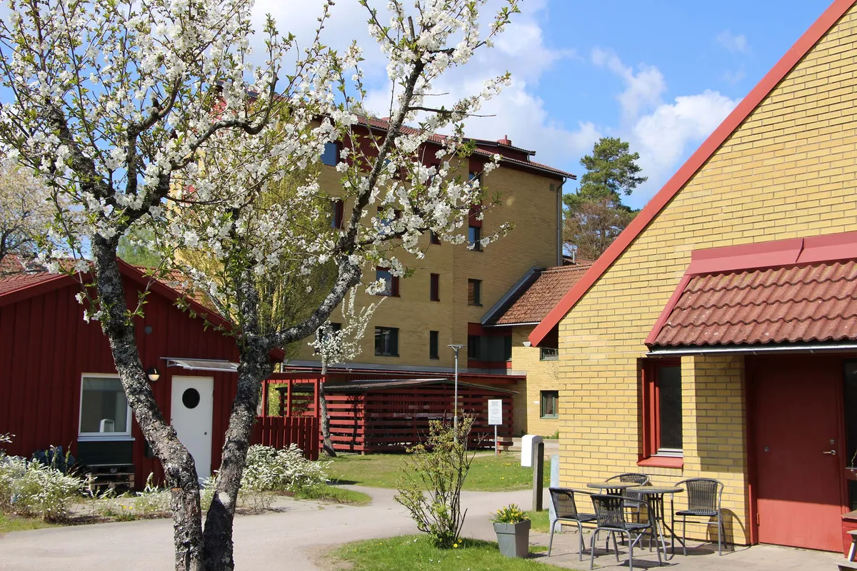 Hyreslägenhet på Växjö i vaxjo