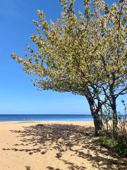 Hyreslägenhet på Simrishamn i simrishamn