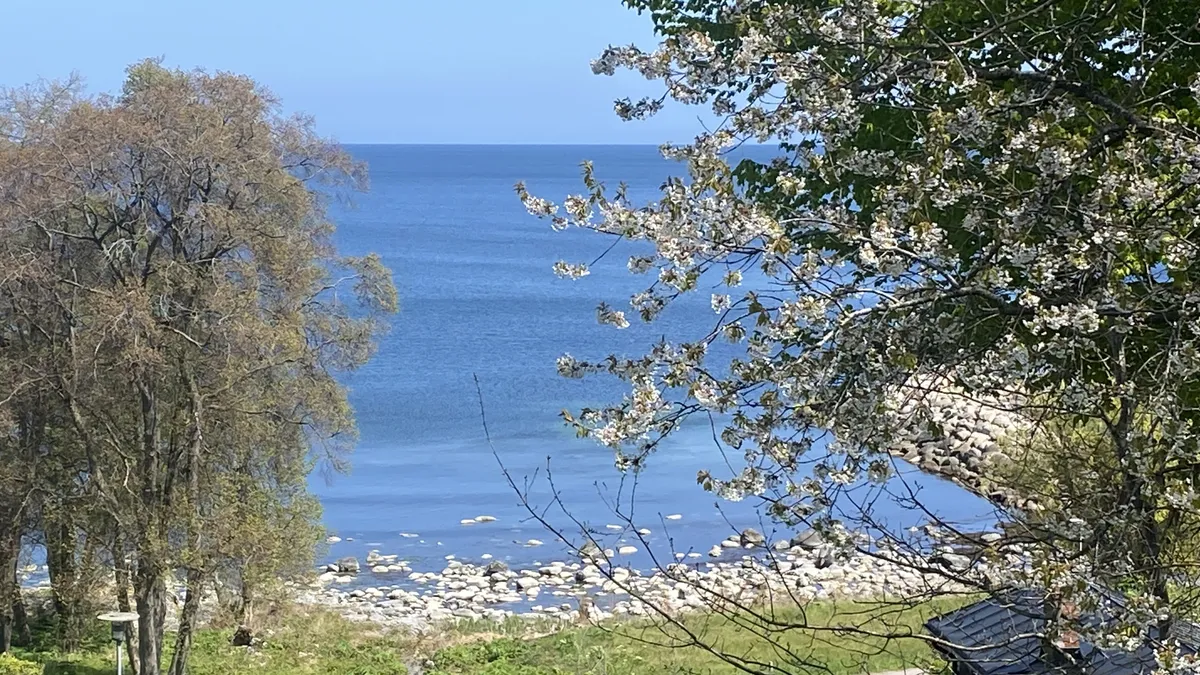 Hyreslägenhet på Simrishamn i simrishamn