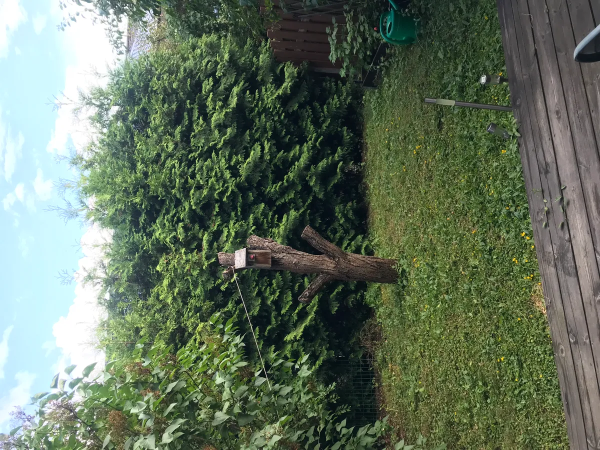 Hyresbostad på Vällingby i vallingby