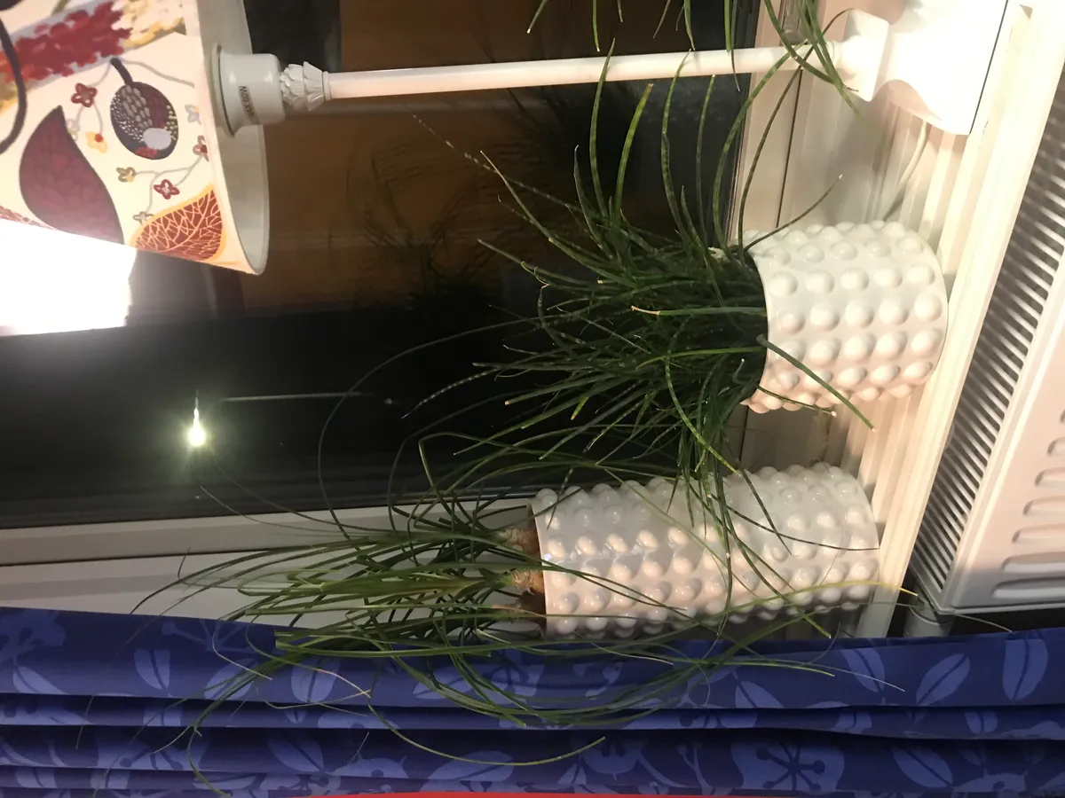 Hyresbostad på Kungälv i kungalv