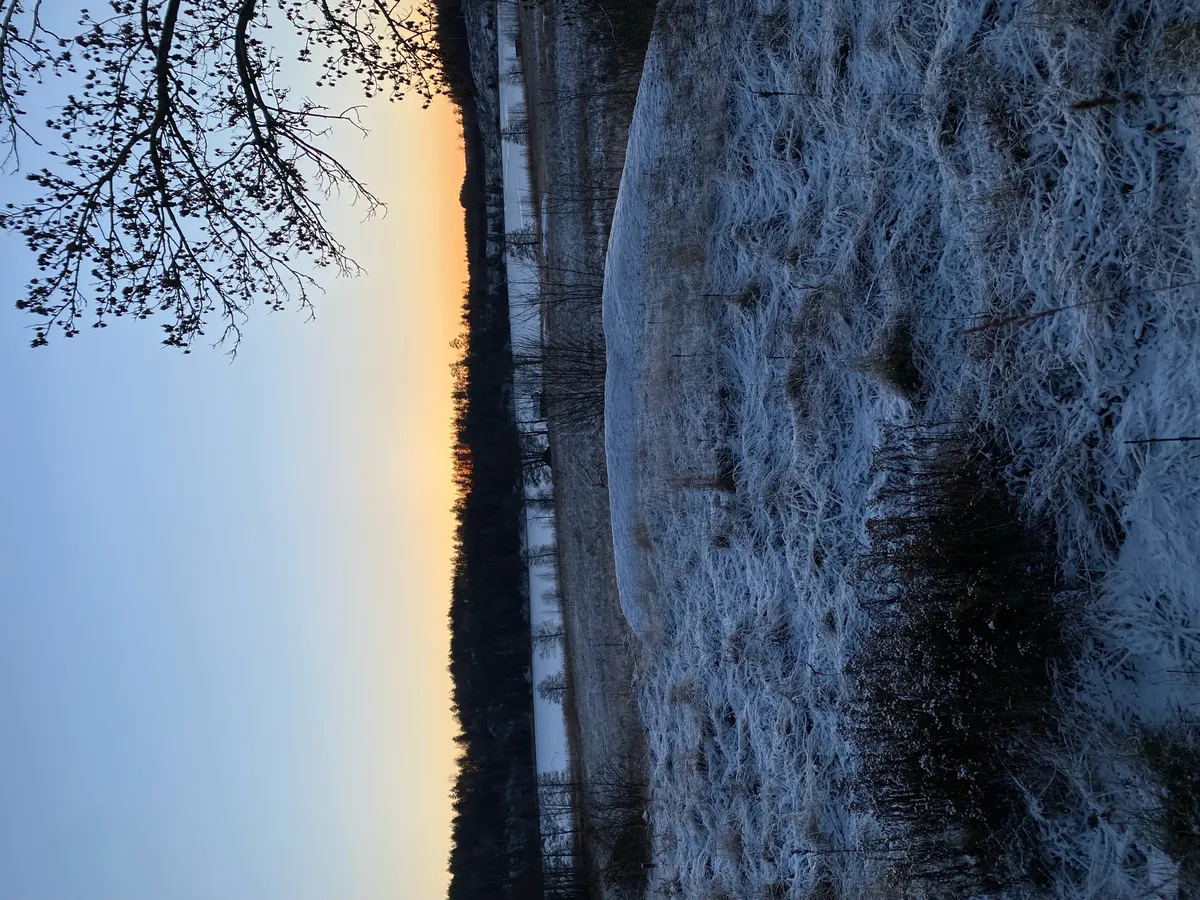 Hyresbostad på Stjärnhov i stjarnhov