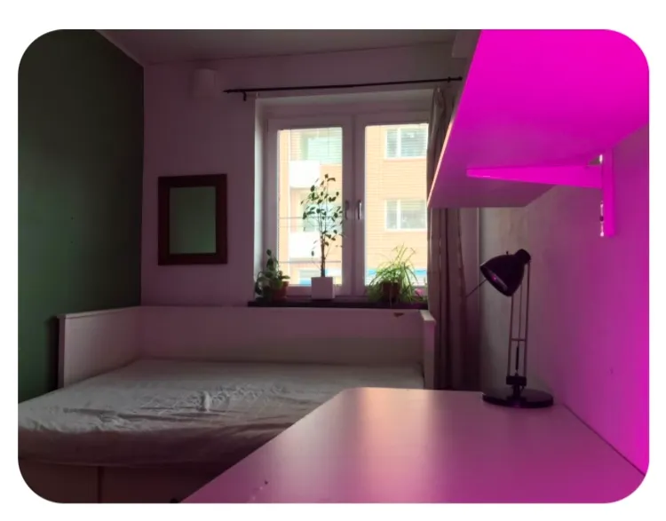 Hyreslägenhet på Malmö i malmo