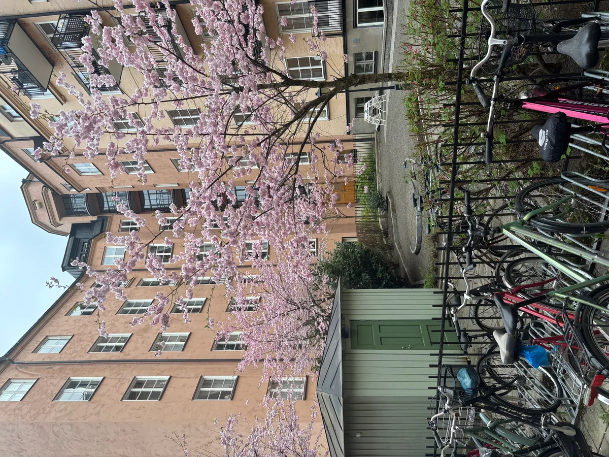 Hyreslägenhet på Stockholm i stockholm