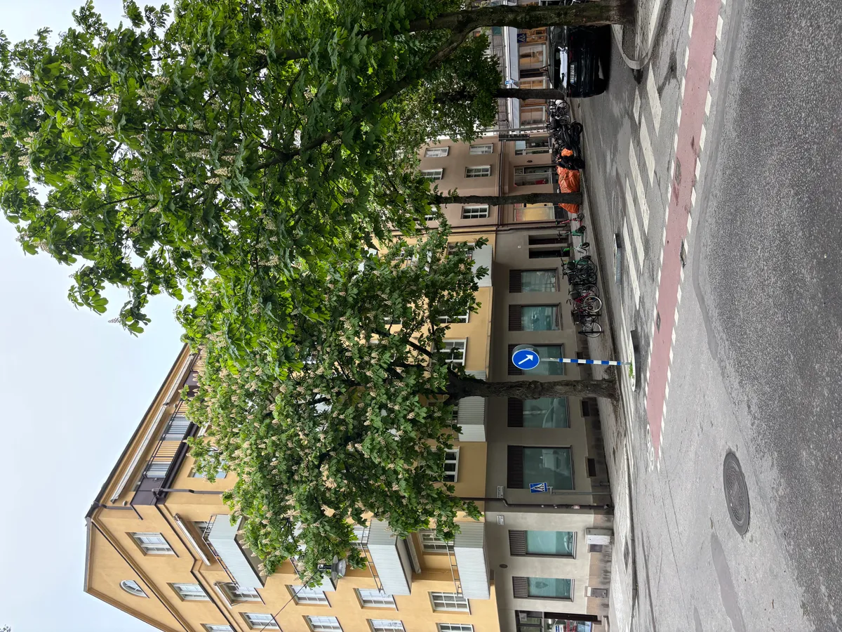 Hyreslägenhet på Stockholm i stockholm