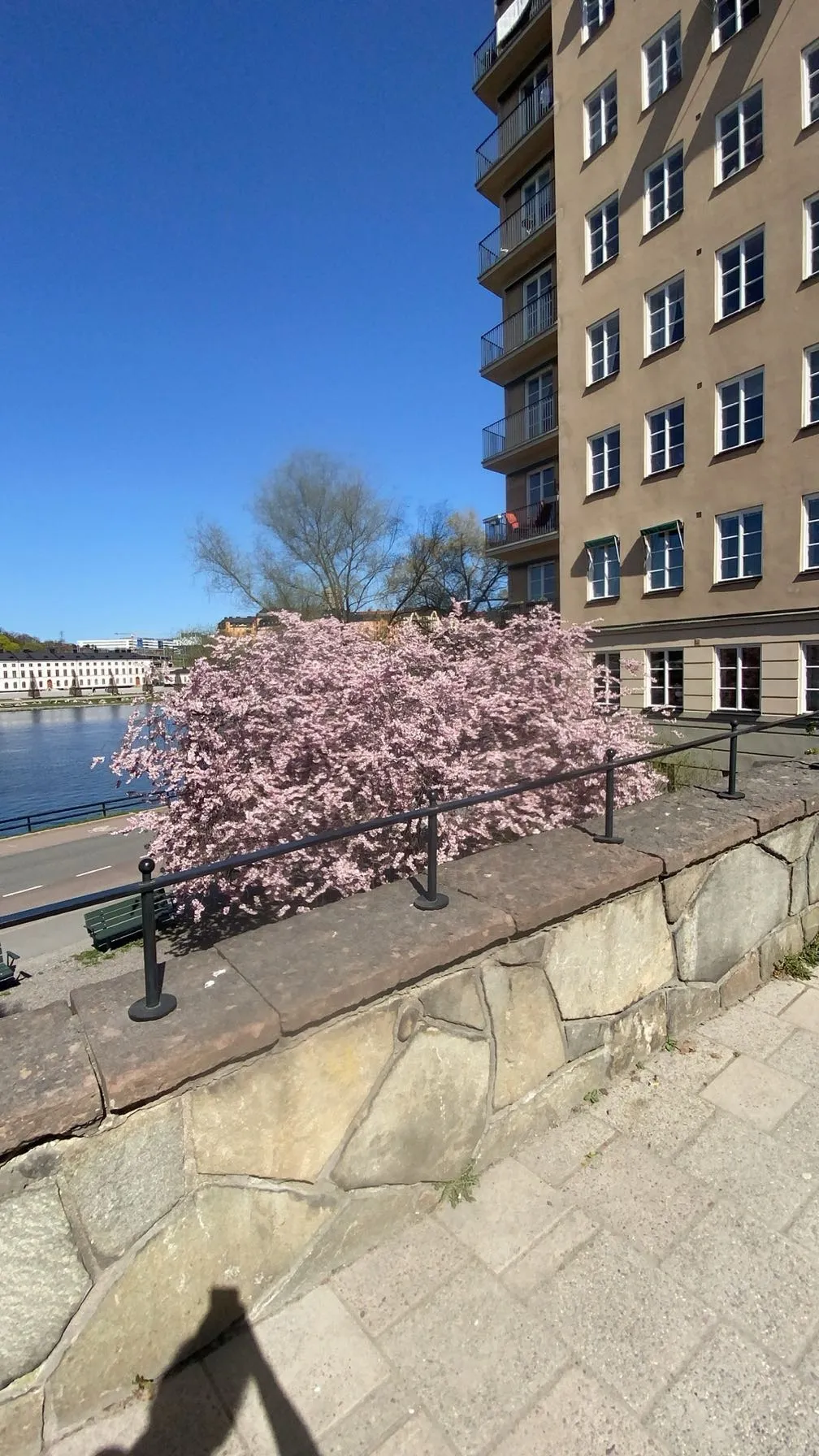 Hyreslägenhet på Stockholm i stockholm