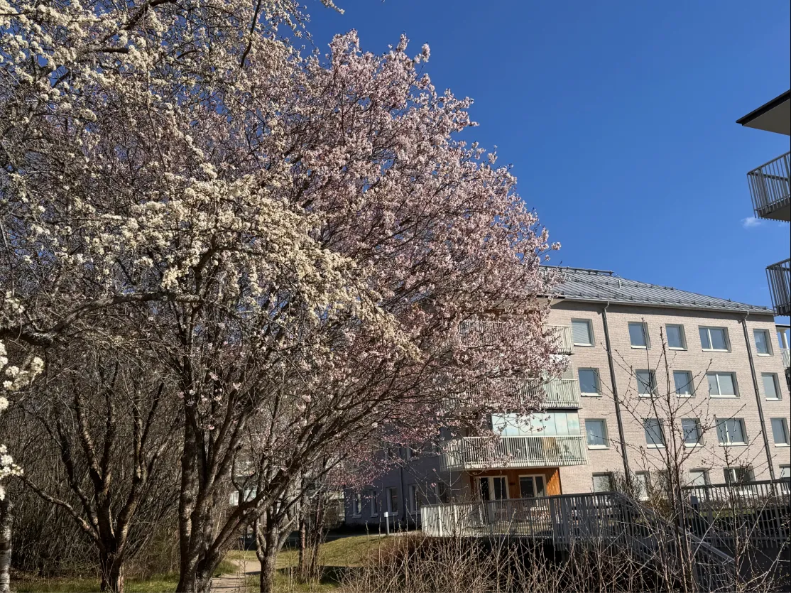 Hyreslägenhet på Uppsala i uppsala