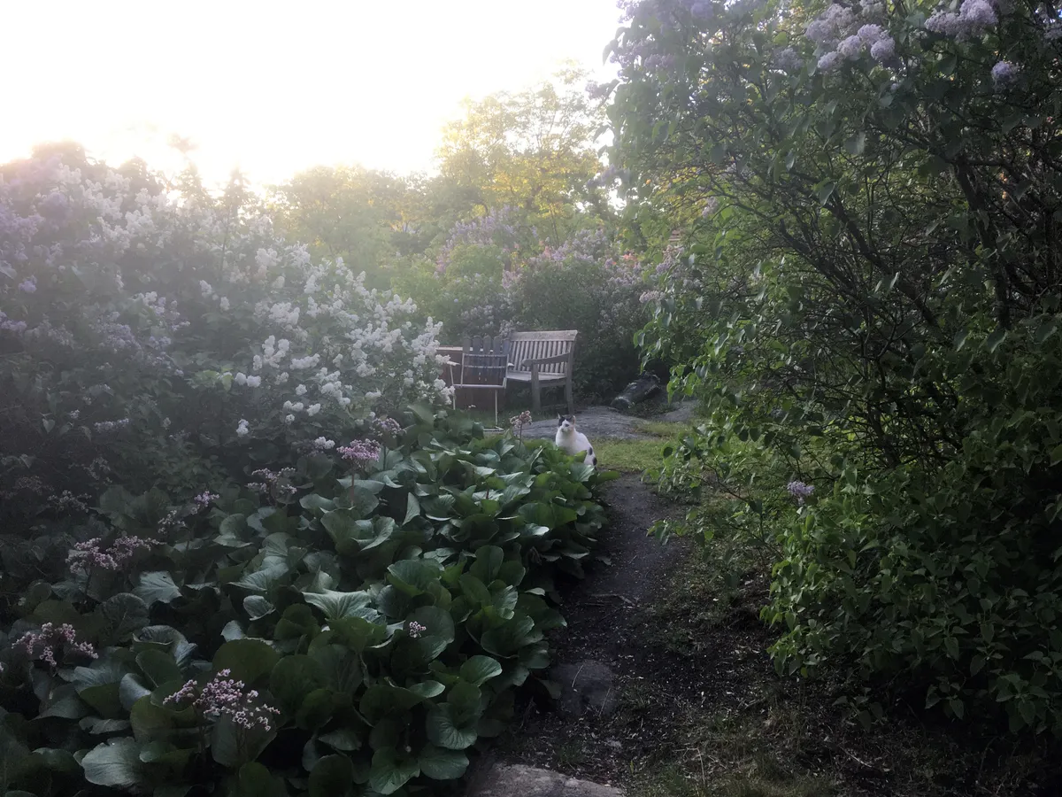 Property image 14