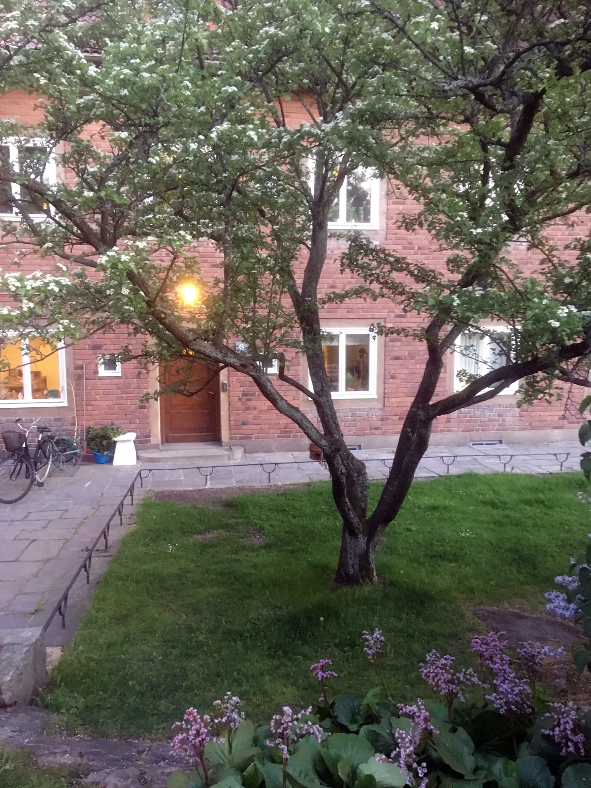 Property image 17