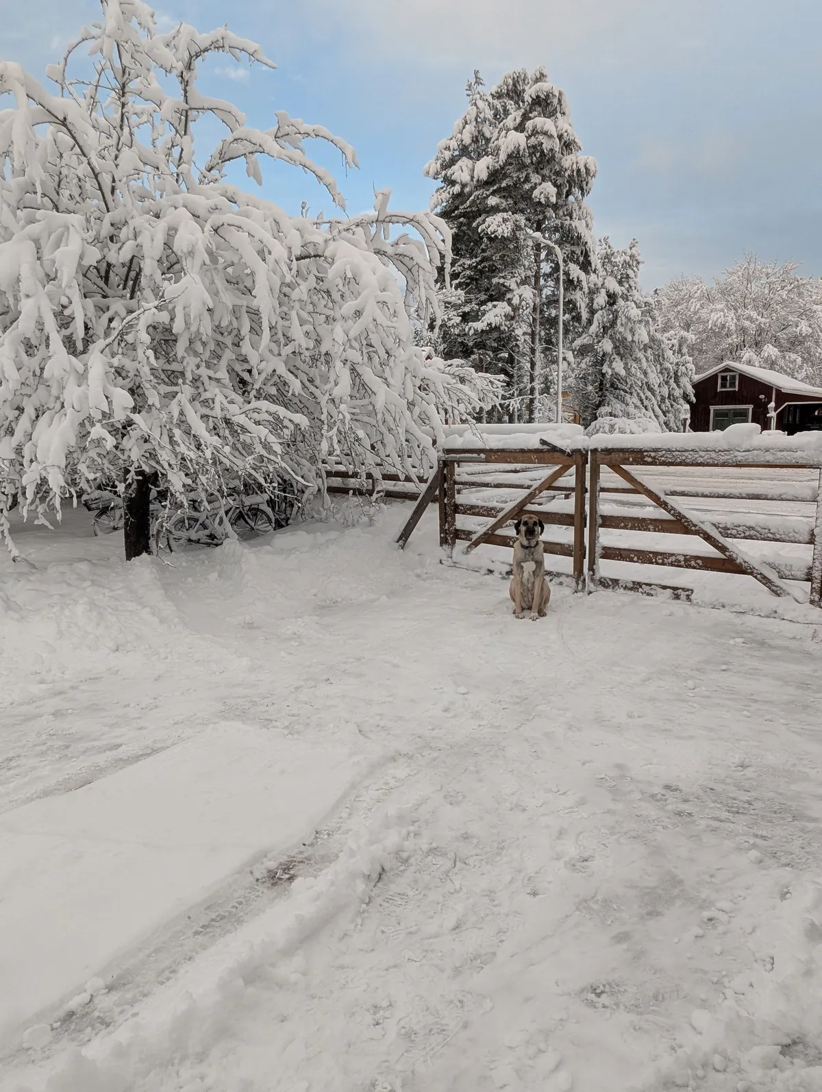 Hyresbostad på Borlänge i borlange