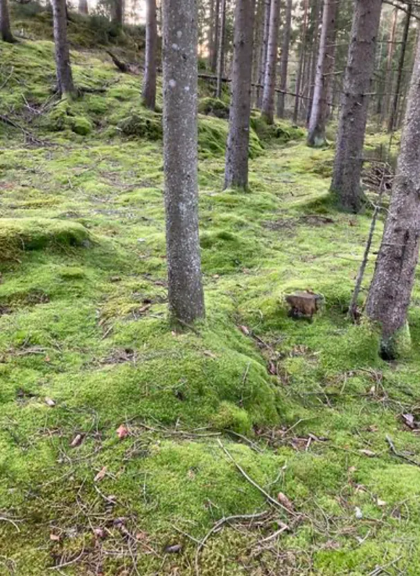 Hyresbostad på Gråbo i grabo