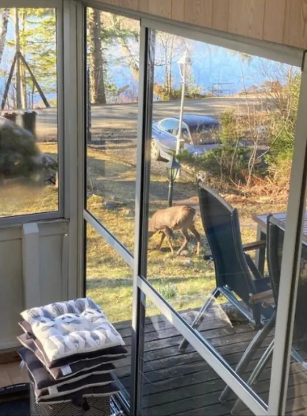 Hyresbostad på Gråbo i grabo