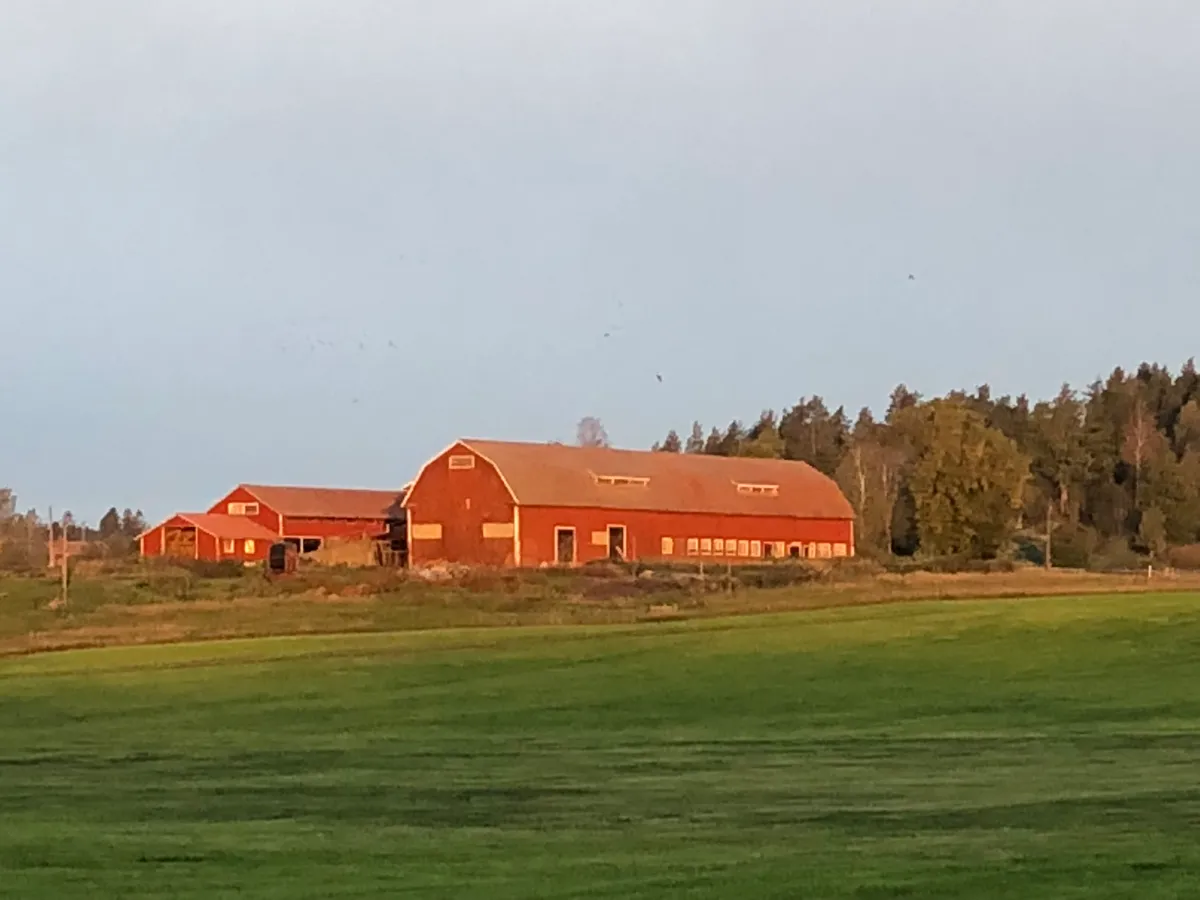 Hyresbostad på Gamleby i gamleby