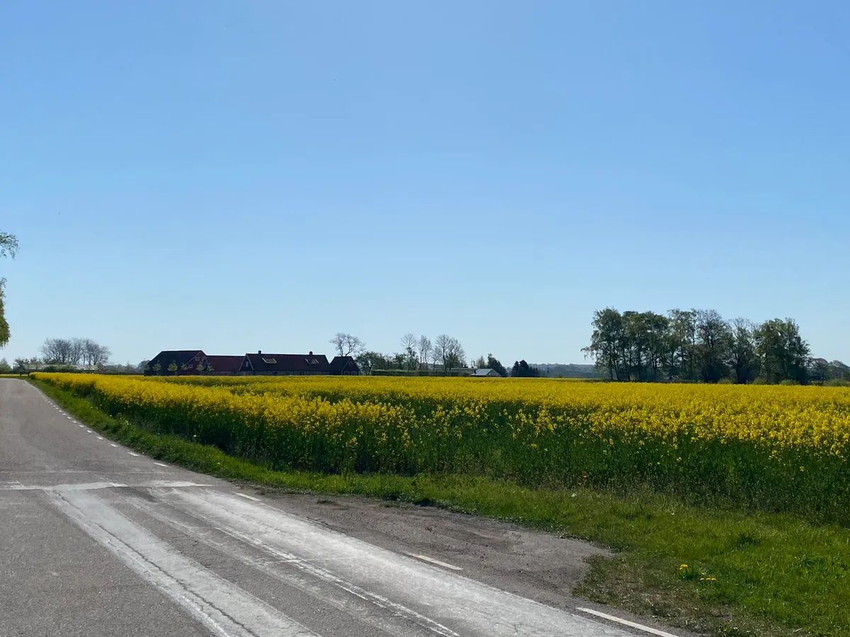 Hyresbostad på Viken i viken