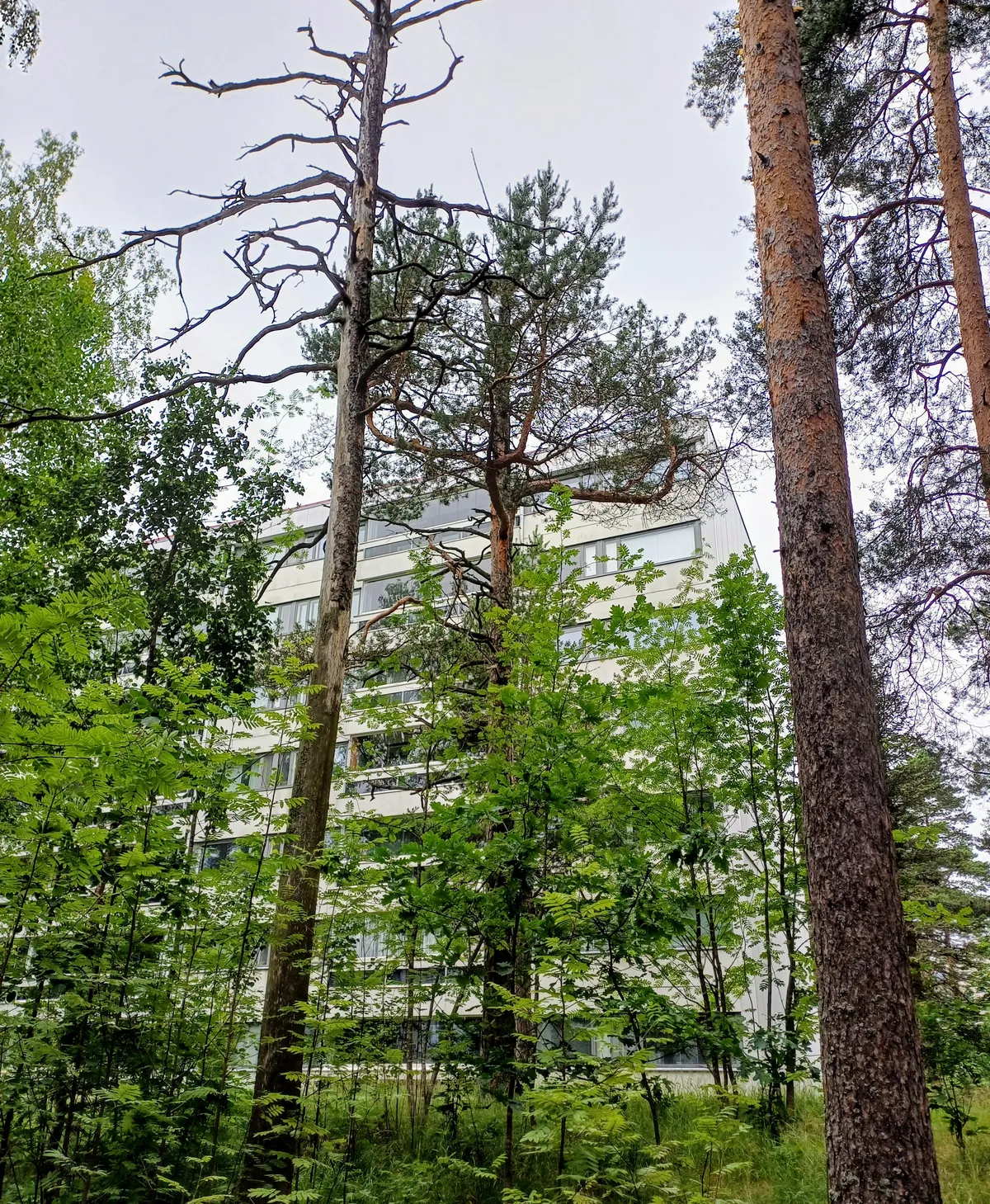 Hyreslägenhet på Helsinki i helsinki