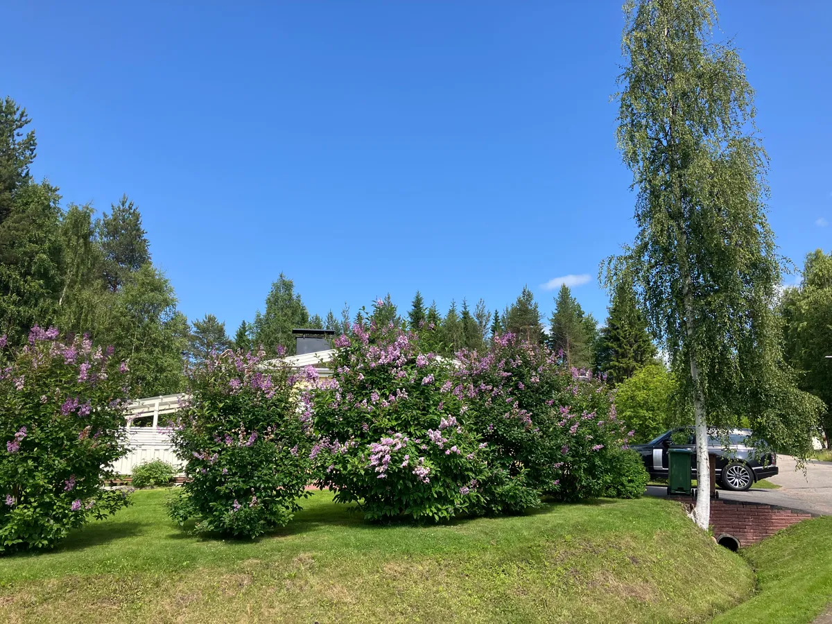 Hyresbostad på Rovaniemi i rovaniemi