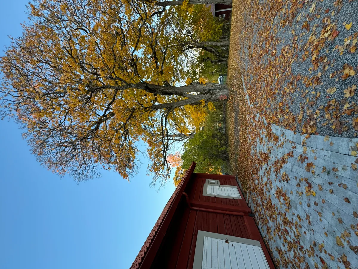 Hyresbostad på Falun i falun
