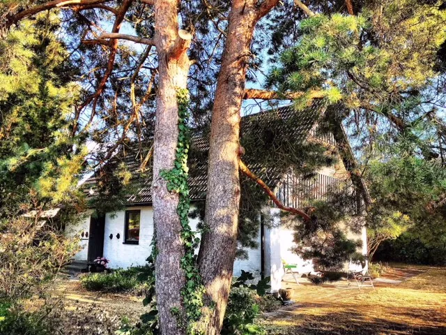 Hyresbostad på Falsterbo i falsterbo