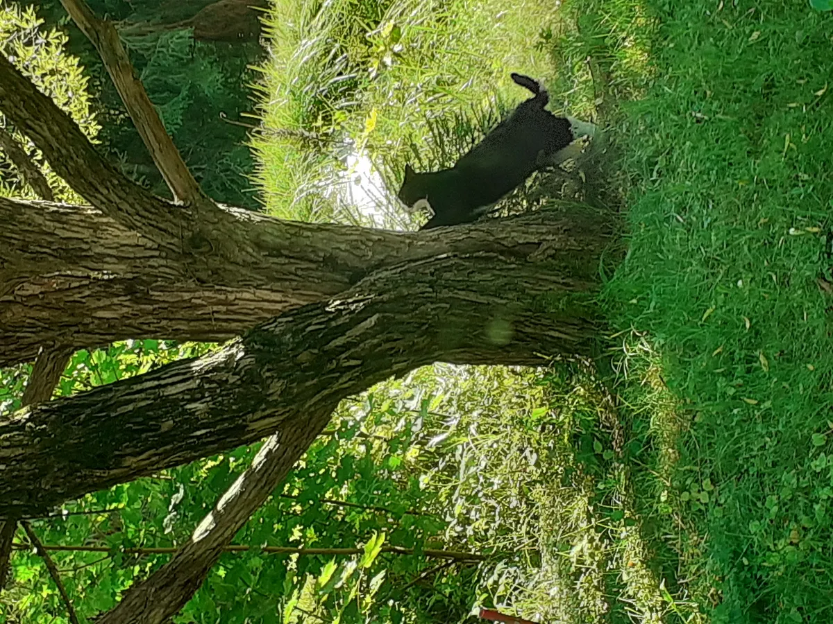 Hyresbostad på Outokumpu i outokumpu