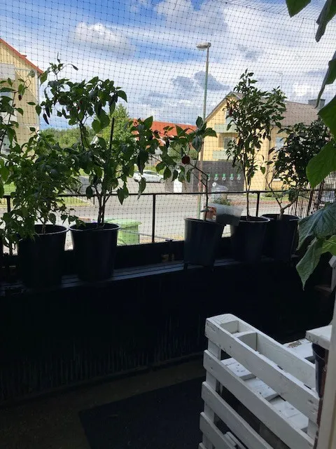 Hyreslägenhet på Nässjö i nassjo