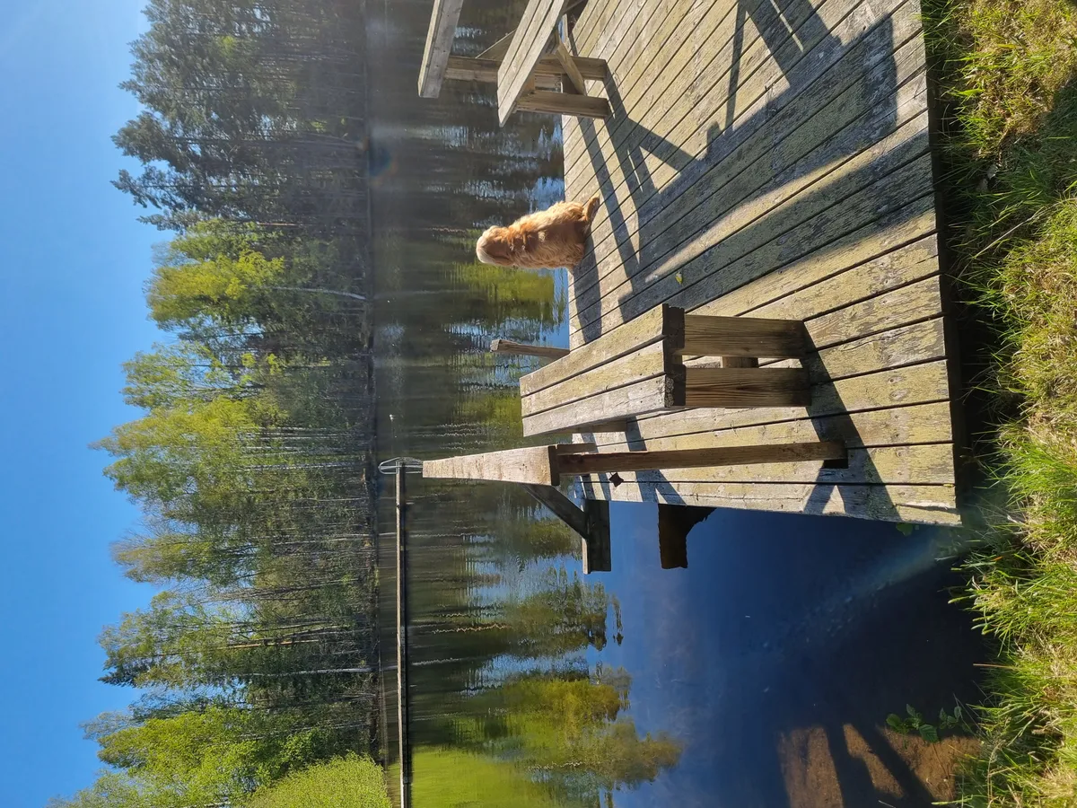 Hyreslägenhet på Hofors i hofors