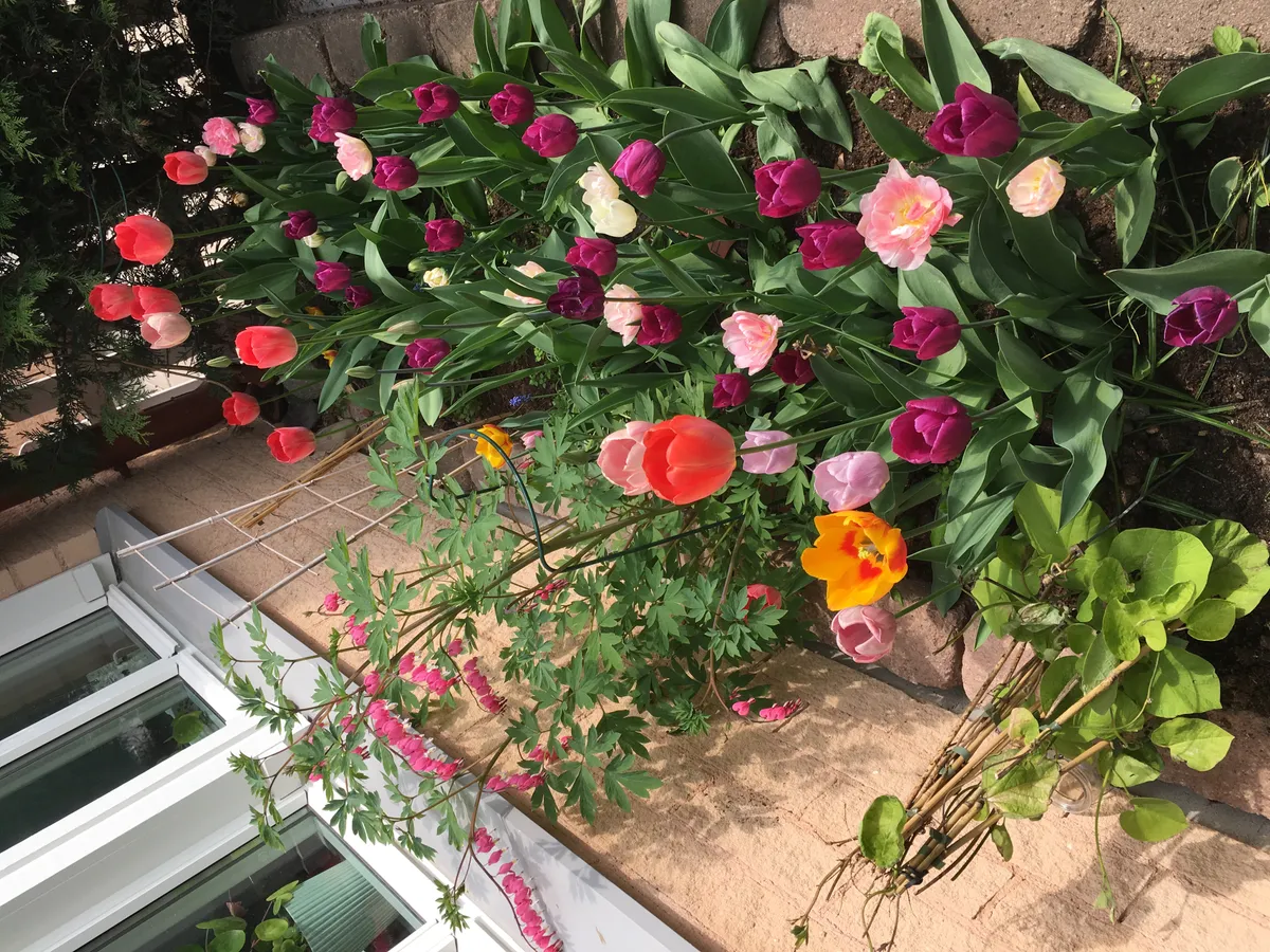 Hyresbostad på Årsta i arsta