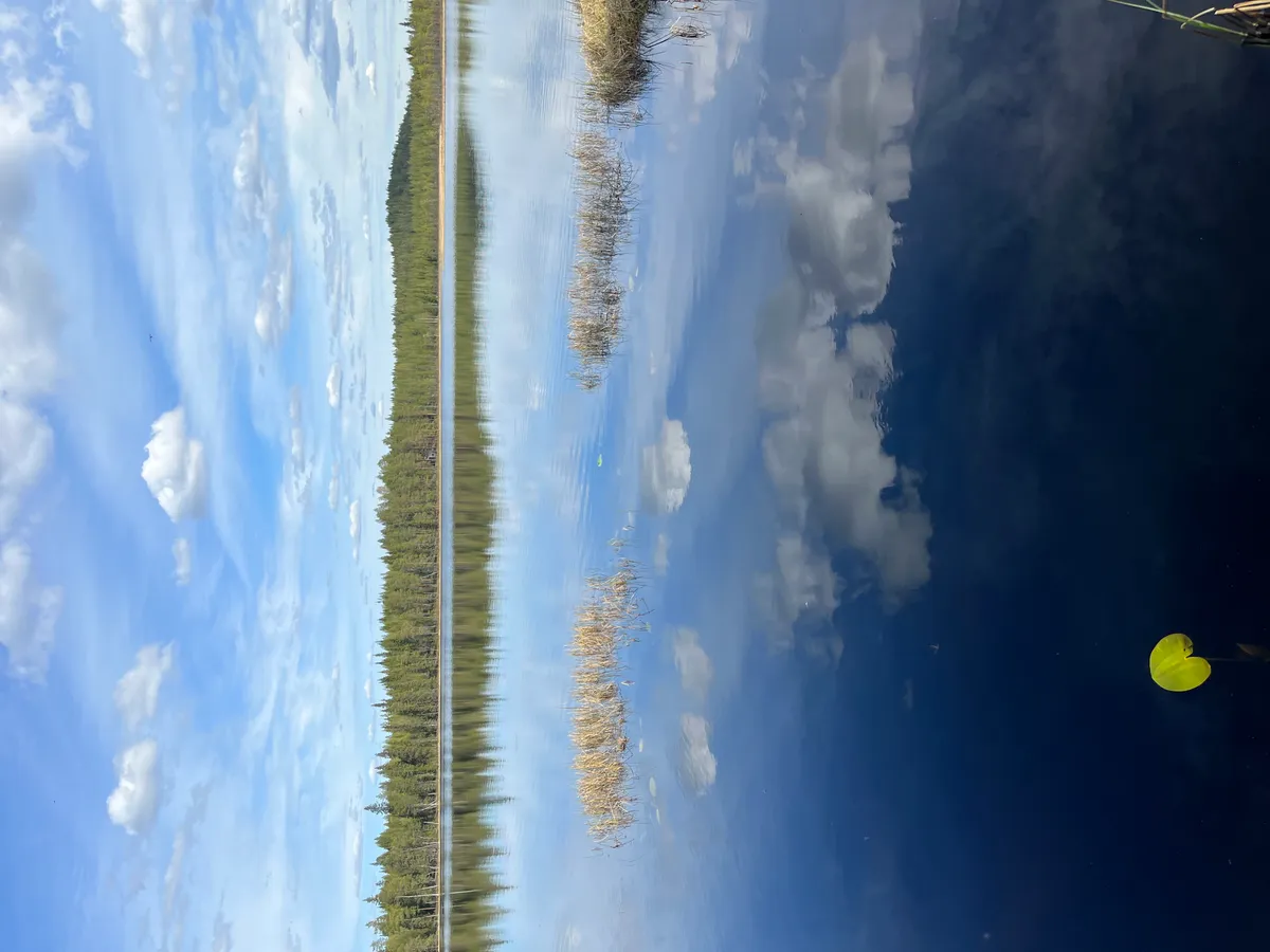 Hyreslägenhet på Rovaniemi i rovaniemi