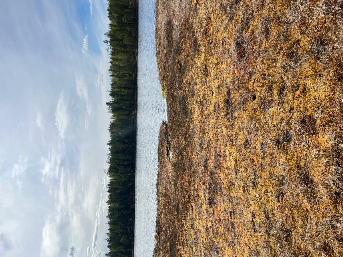 Hyreslägenhet på Rovaniemi i rovaniemi