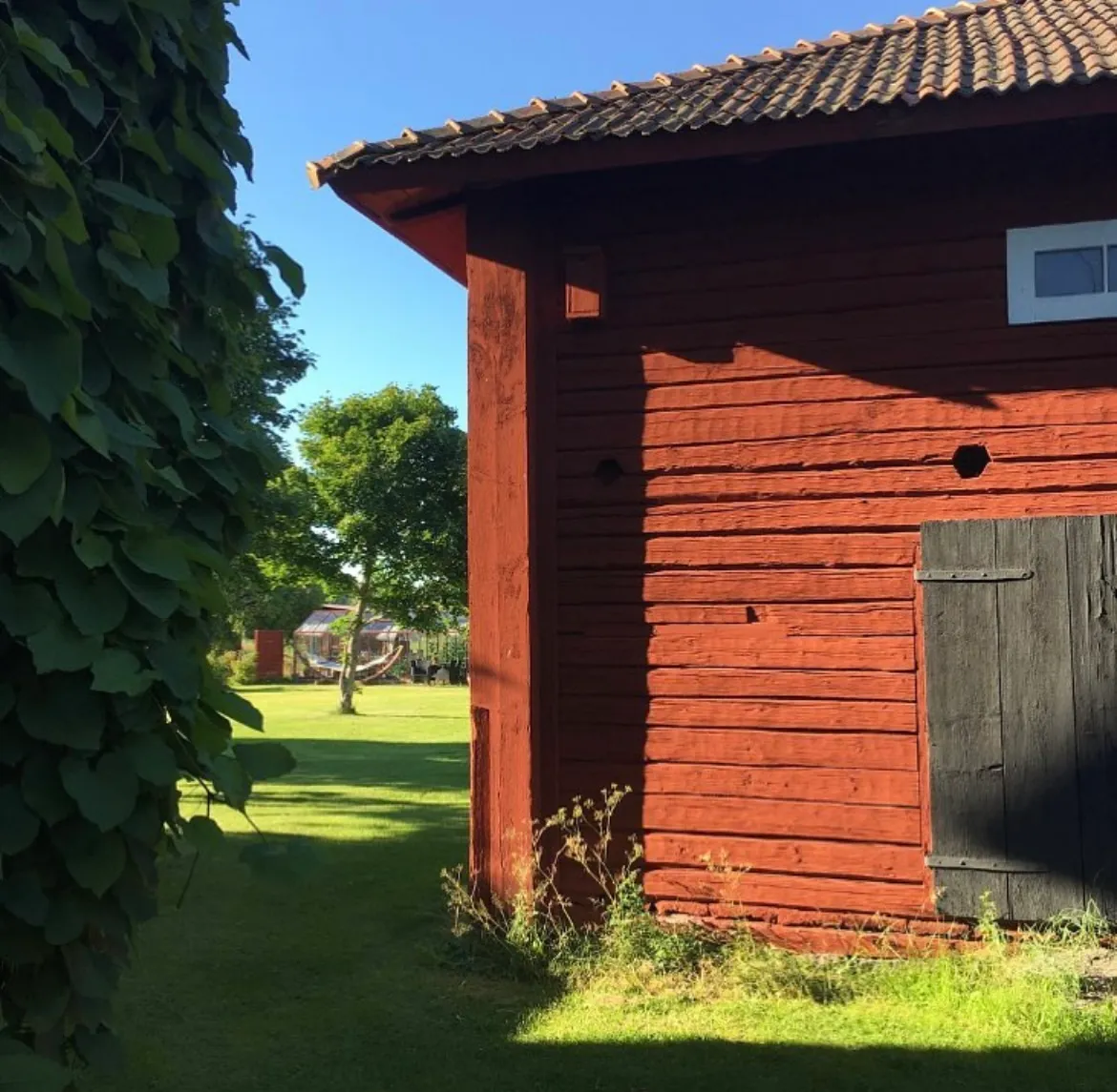 Property image 42