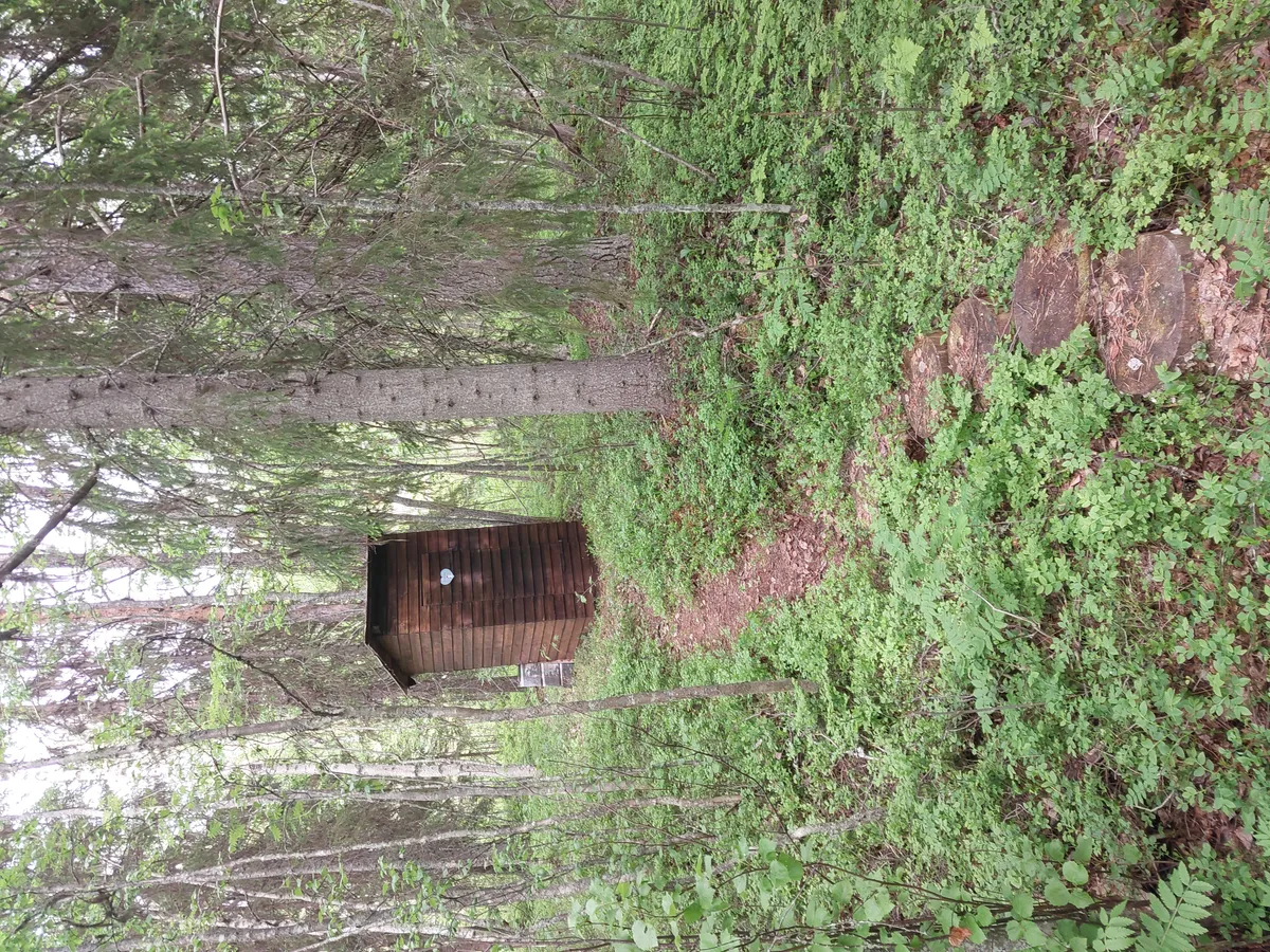 Hyresbostad på Lycksele i lycksele