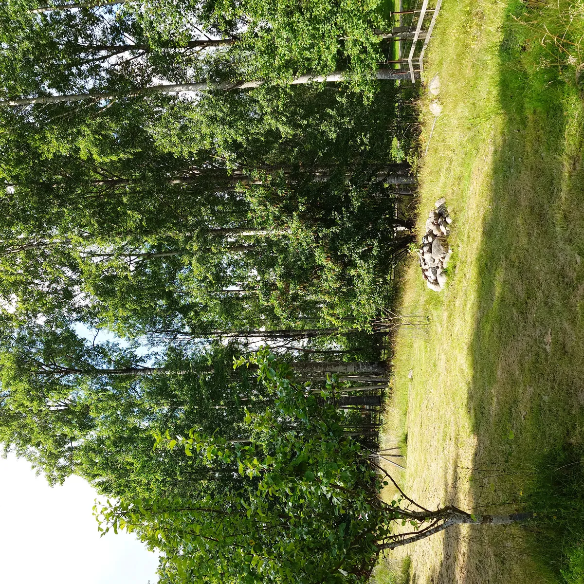Hyresbostad på Katrineholm i katrineholm