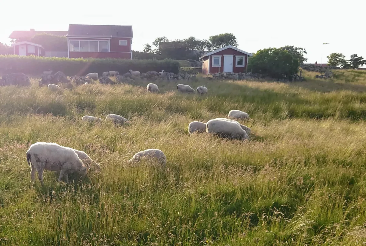 Hyresbostad på Varberg i varberg