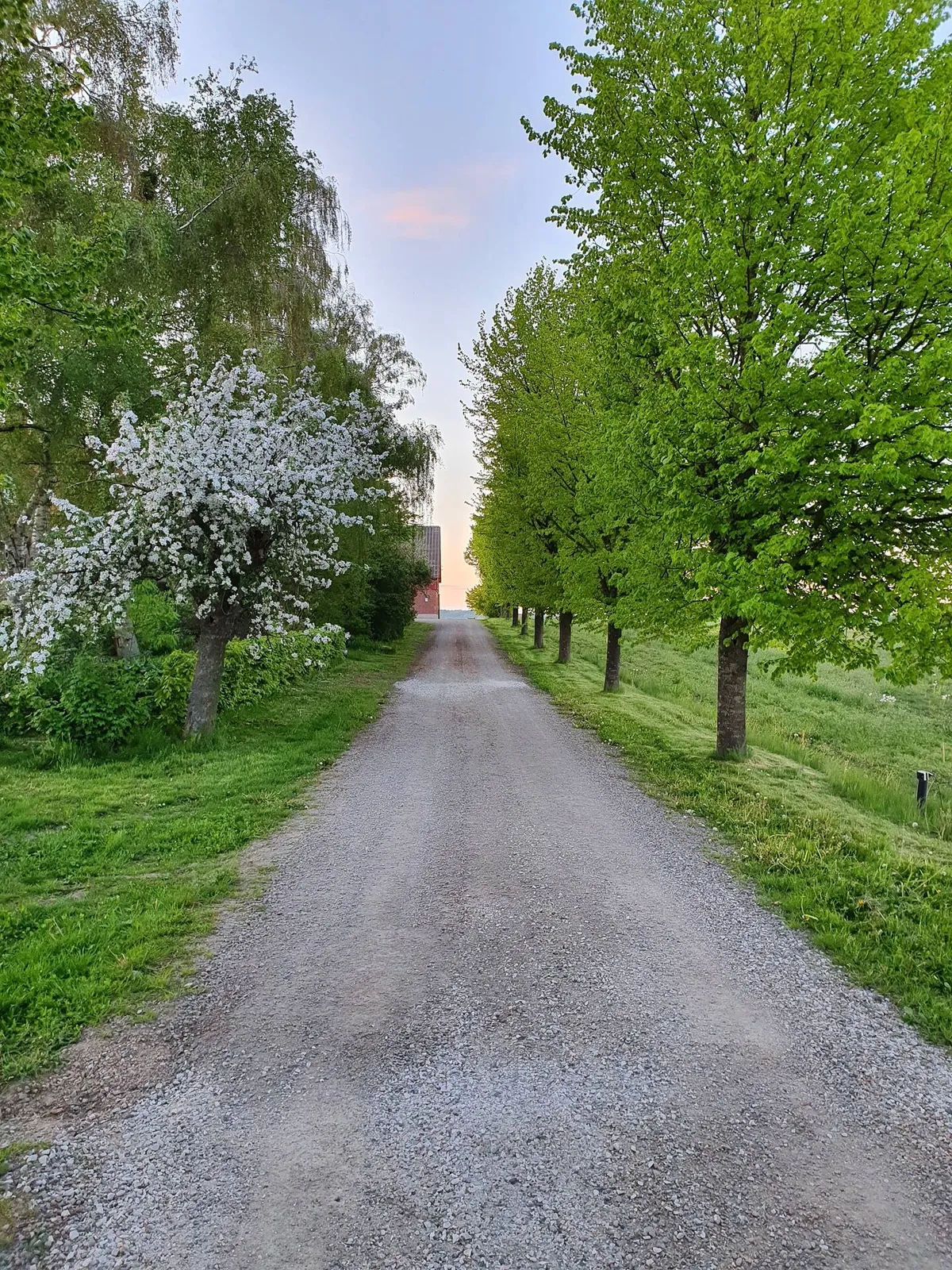 Hyresbostad på Svalöv i svalov