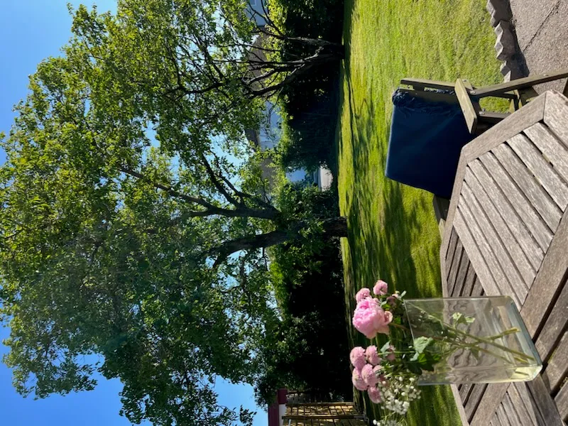 Hyresbostad på Limhamn i limhamn