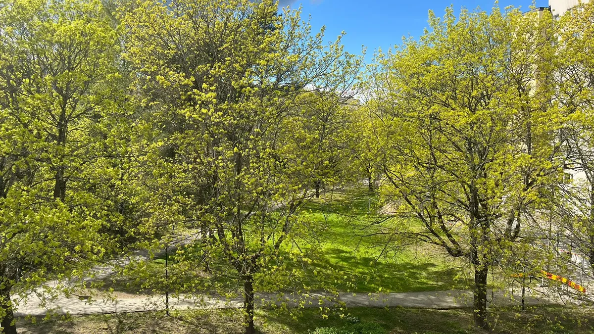 Hyreslägenhet på Stockholm i stockholm