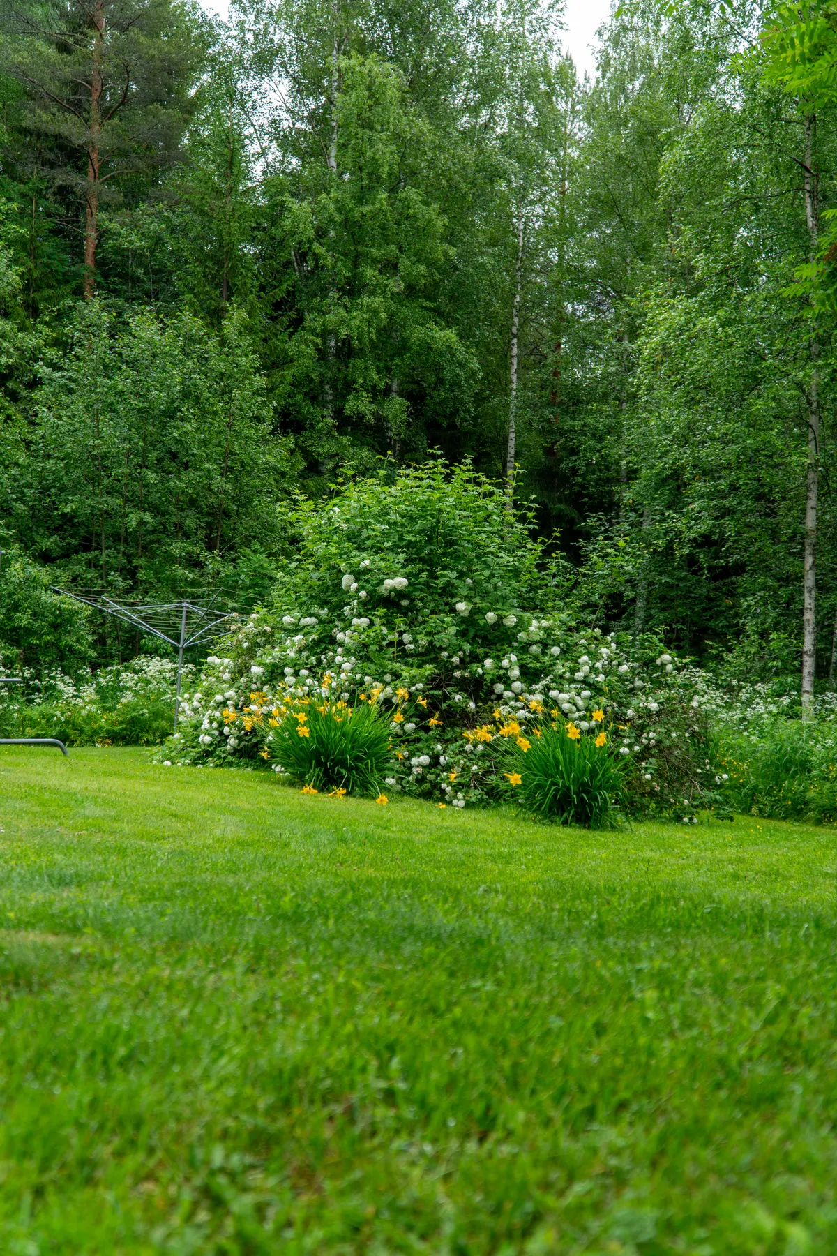 Hyresbostad på Joensuu i joensuu