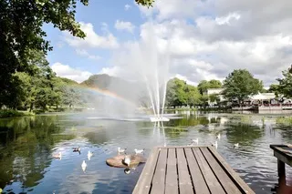 Hyreslägenhet på Göteborg i goteborg