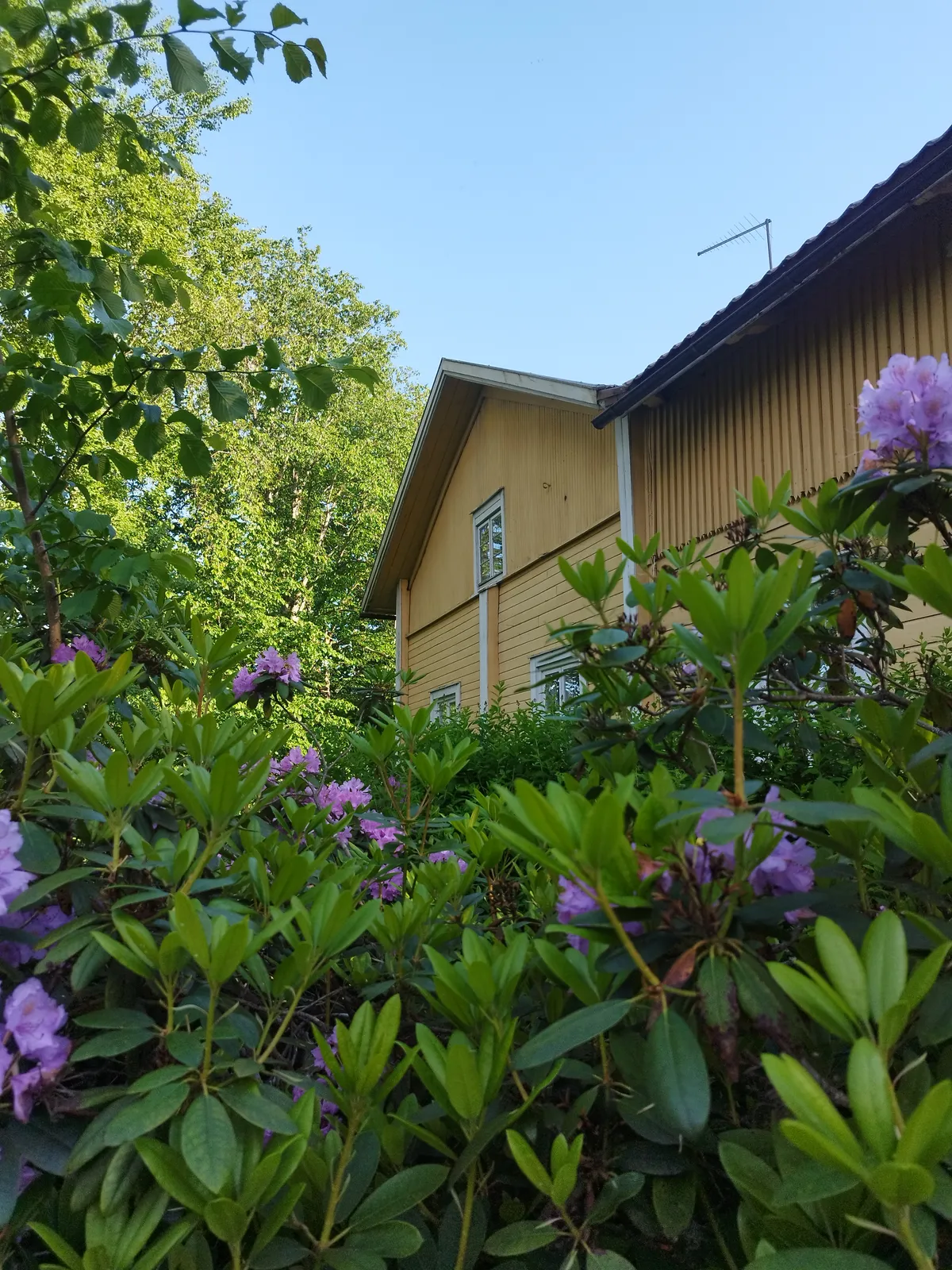 Hyresbostad på Lohja i lohja