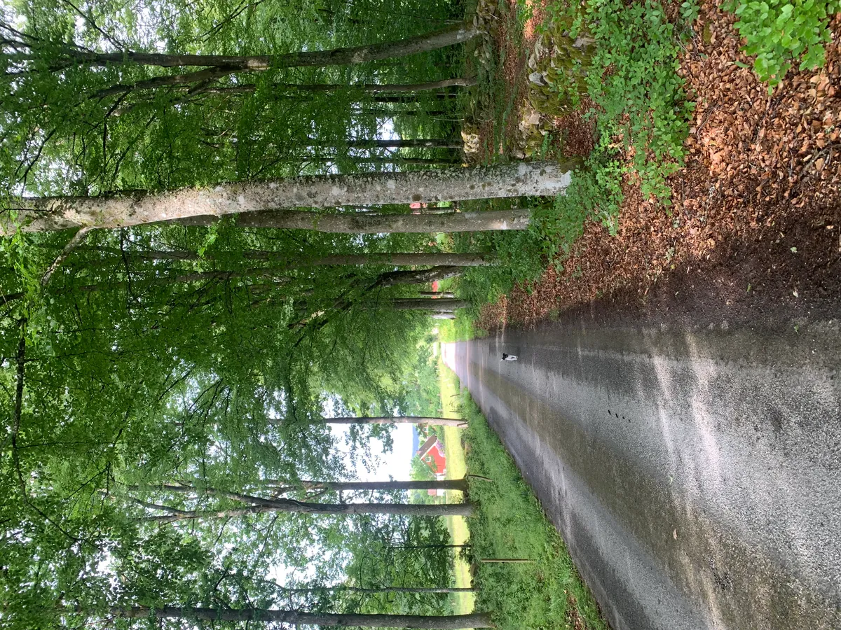 Hyresbostad på Ljungby i ljungby