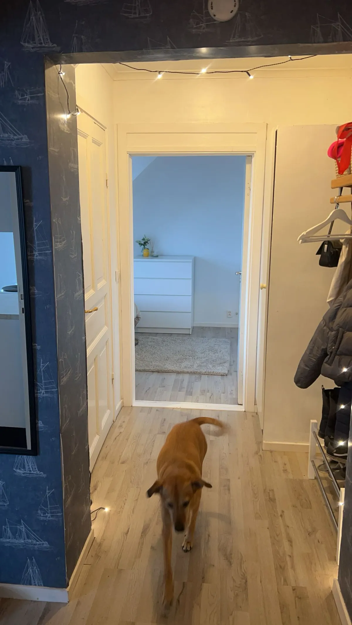 Hyreslägenhet på Mariannelund i mariannelund