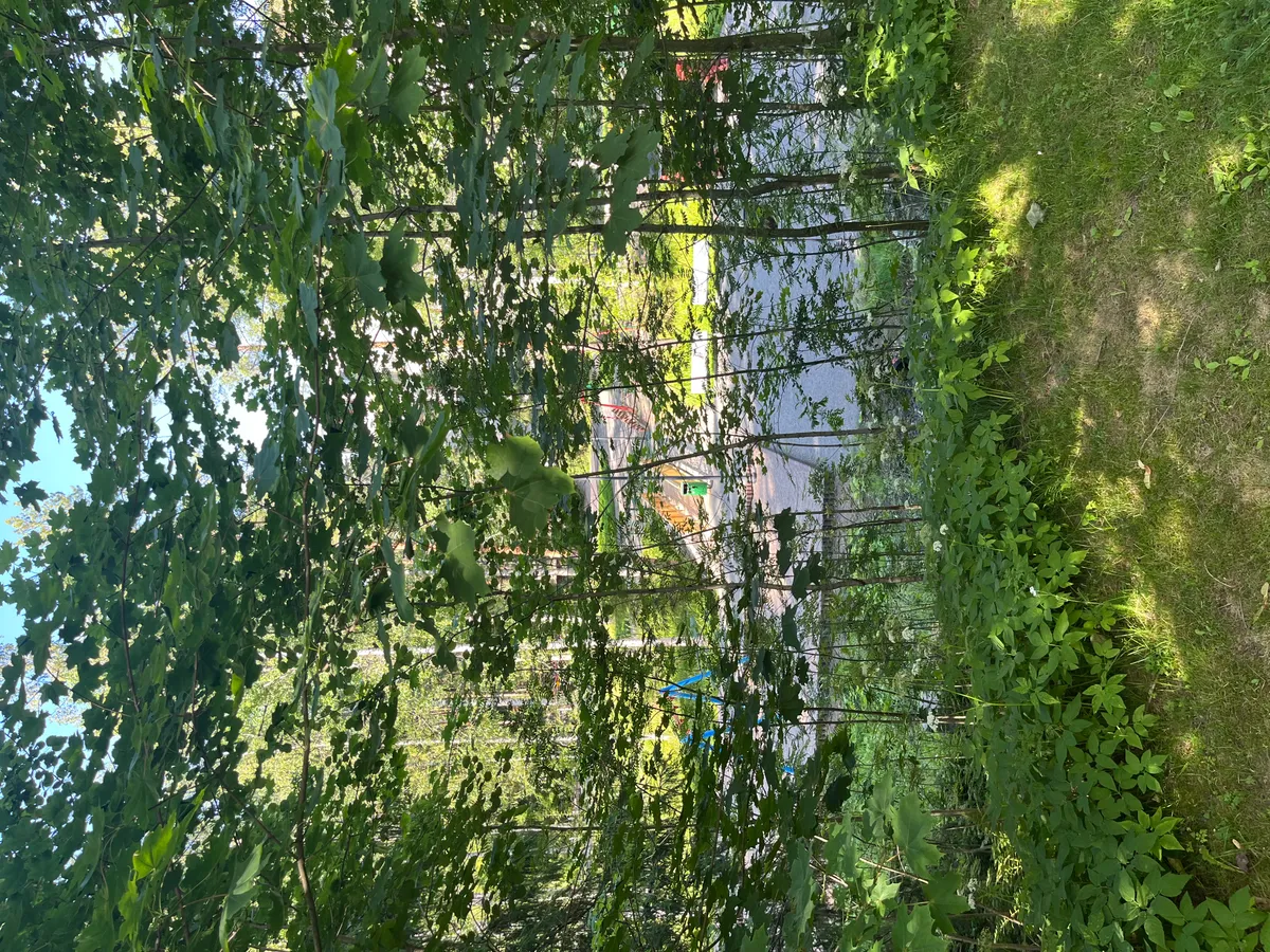 Hyreslägenhet på Jyväskylä i jyvaskyla