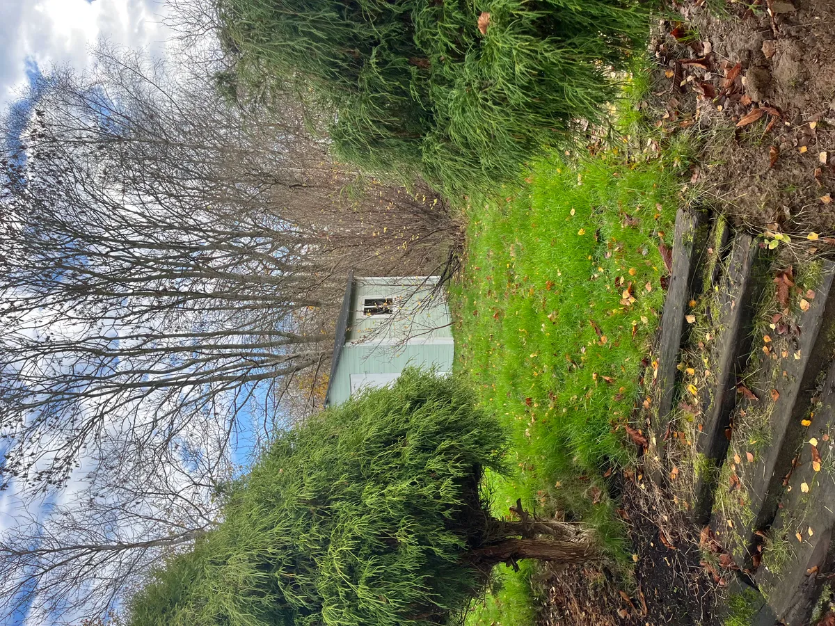 Hyresbostad på Billesholm i billesholm