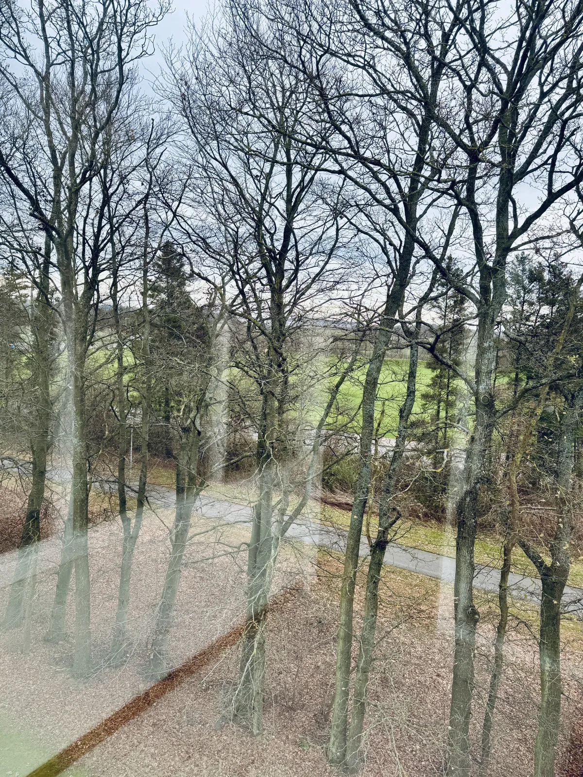 Hyreslägenhet på Helsingborg i helsingborg