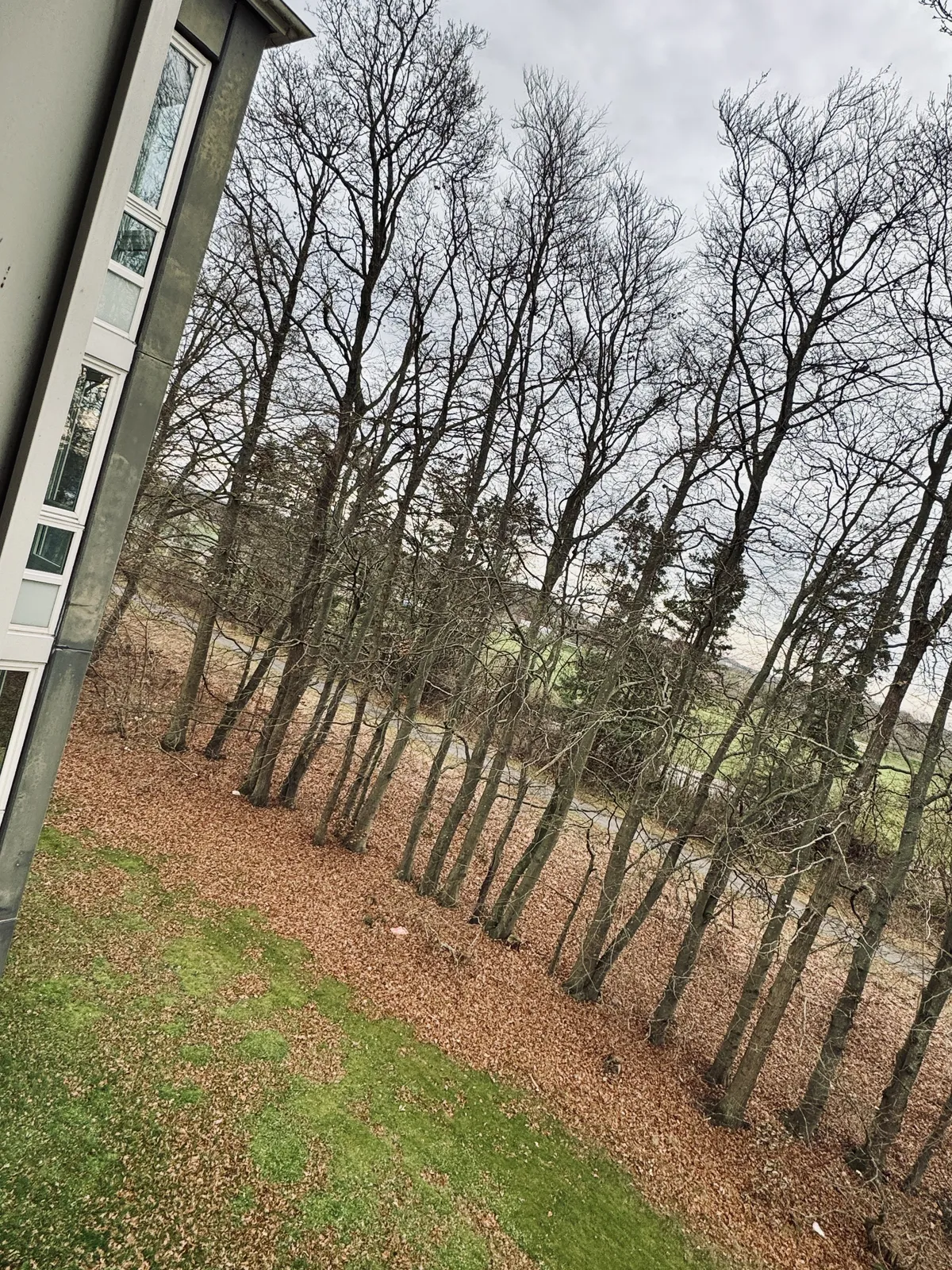 Hyreslägenhet på Helsingborg i helsingborg