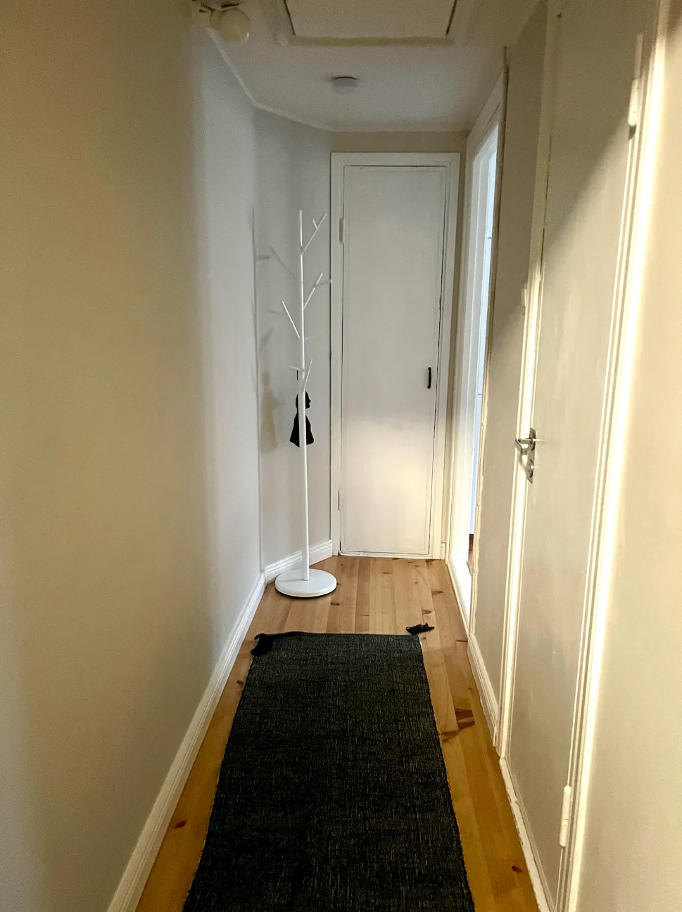 Hyreslägenhet på Helsinki i helsinki