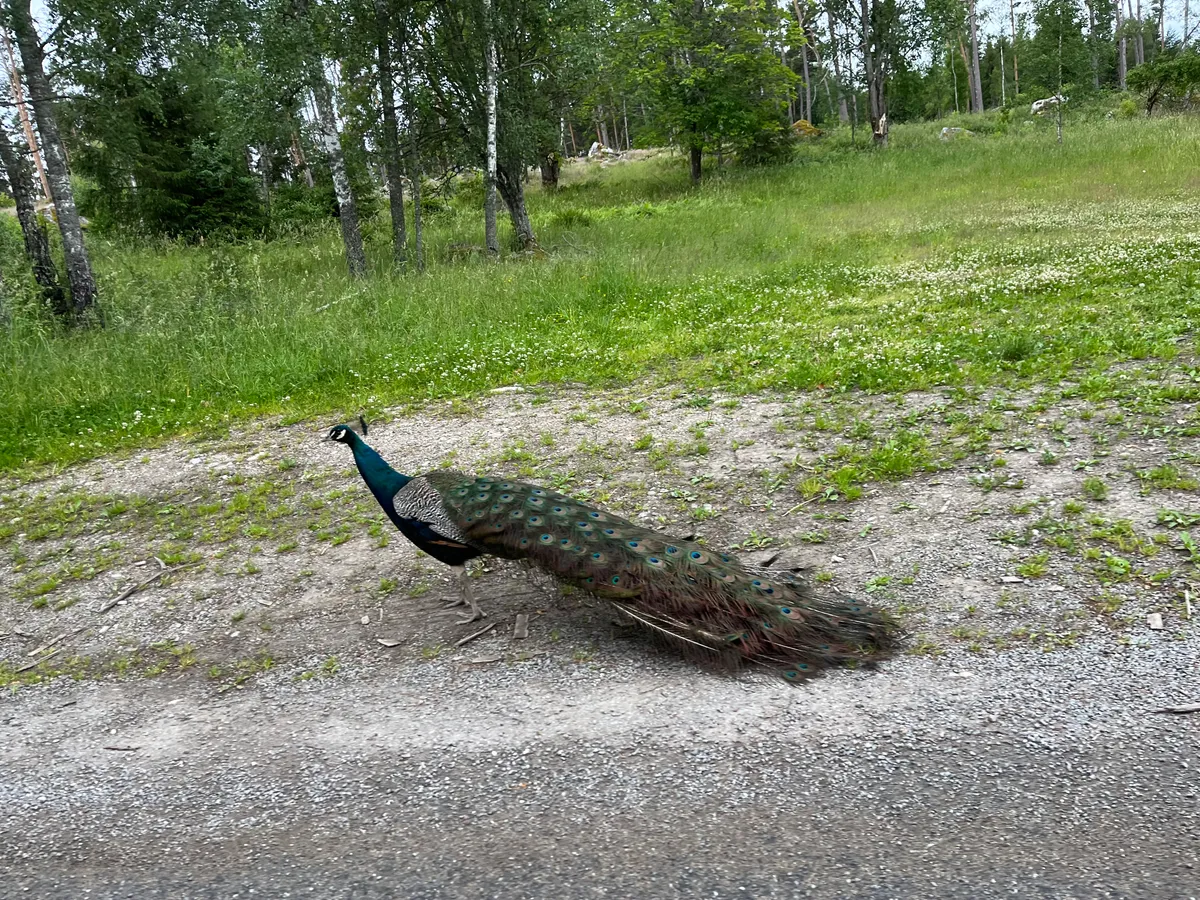 Hyresbostad på Stallarholmen i stallarholmen