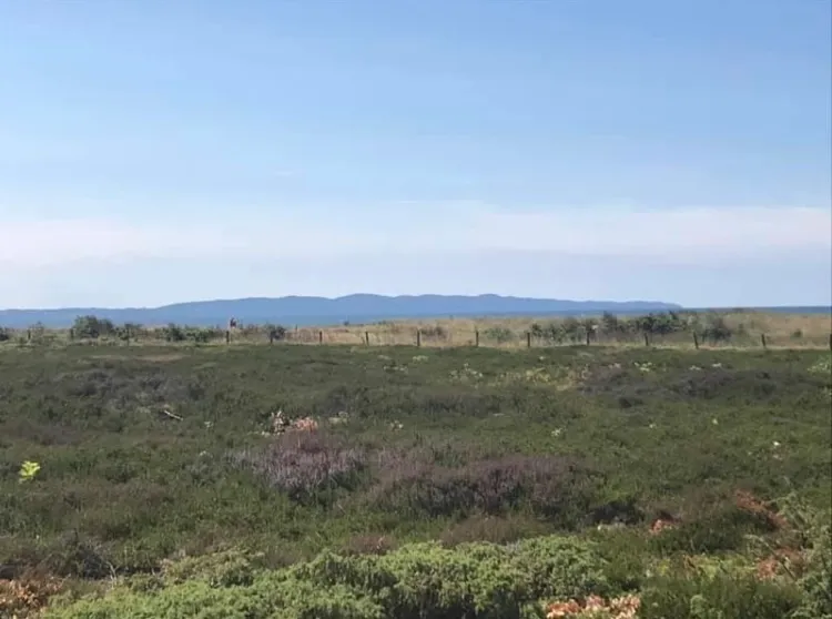 Hyresbostad på Båstad i bastad