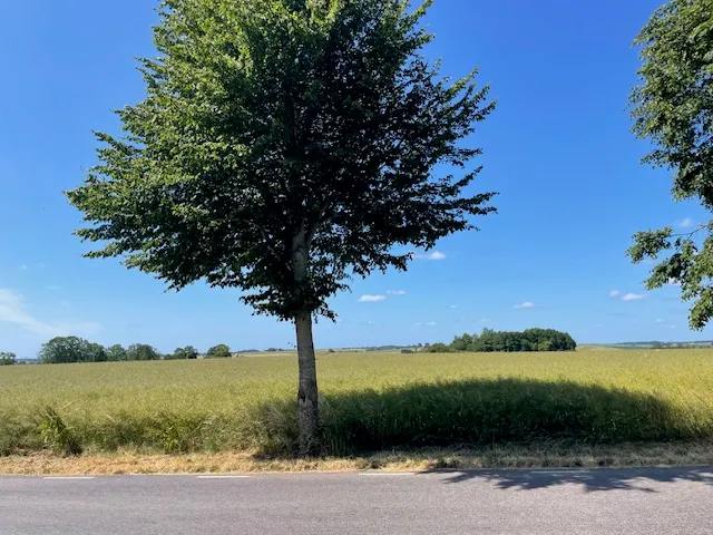 Hyresbostad på Tomelilla i tomelilla
